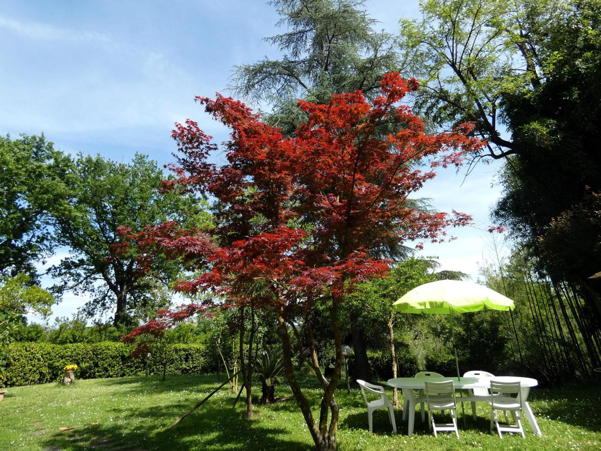 Lady Sposino Apartment Spinelli ภายนอก รูปภาพ